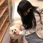 半岛综合app官网登录